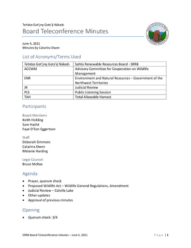 21-06-04 SRRB Teleconference Minutes