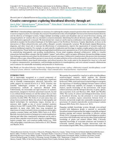 Polfus et al  2017 creative convergence