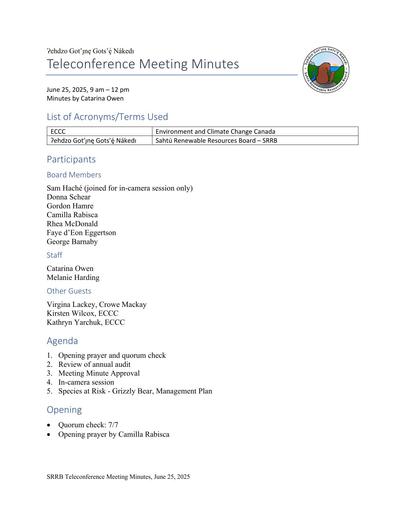 25-06-25 SRRB Teleconference Minutes