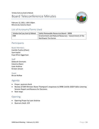 21-02-12 SRRB Teleconference Minutes